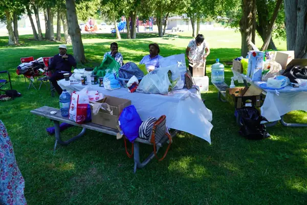 Picnic tables set up with food on a sunny lawn