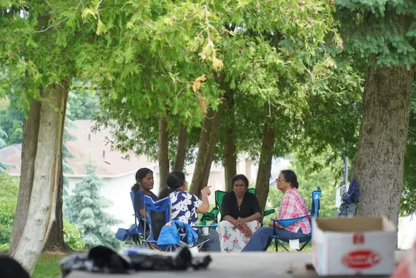 People relaxing under large trees in a park
