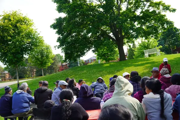 People gathered on a grassy slope under trees