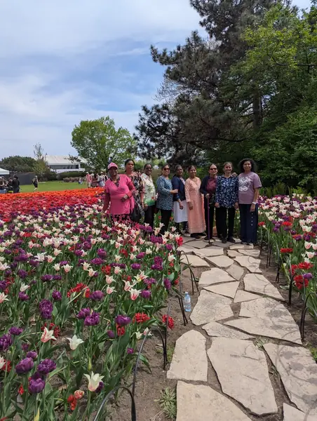People among tulip beds along a stone path